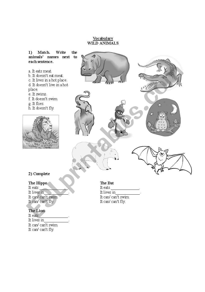 Wild Animals worksheet