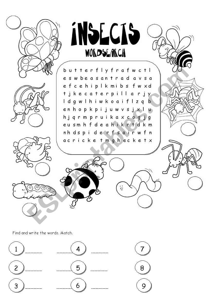 nsects wordsearch worksheet