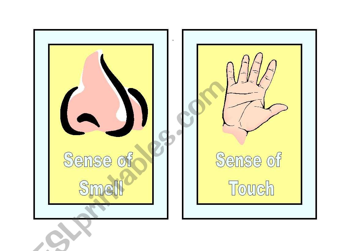 Five Senses worksheet