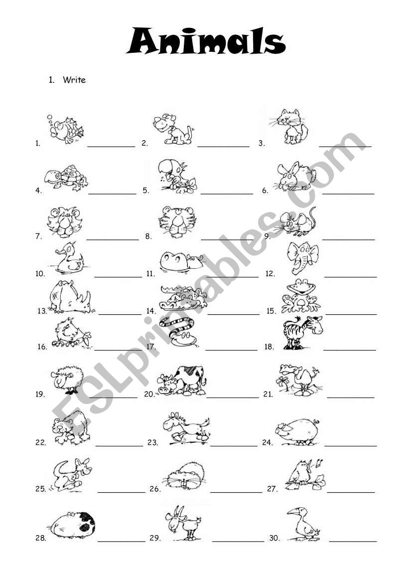 Animals worksheet