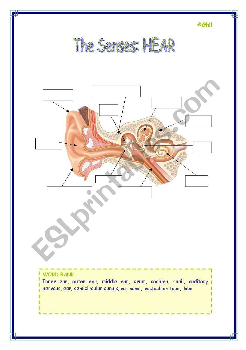 The Hear Sense worksheet