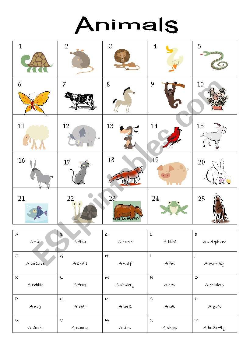 Animals worksheet