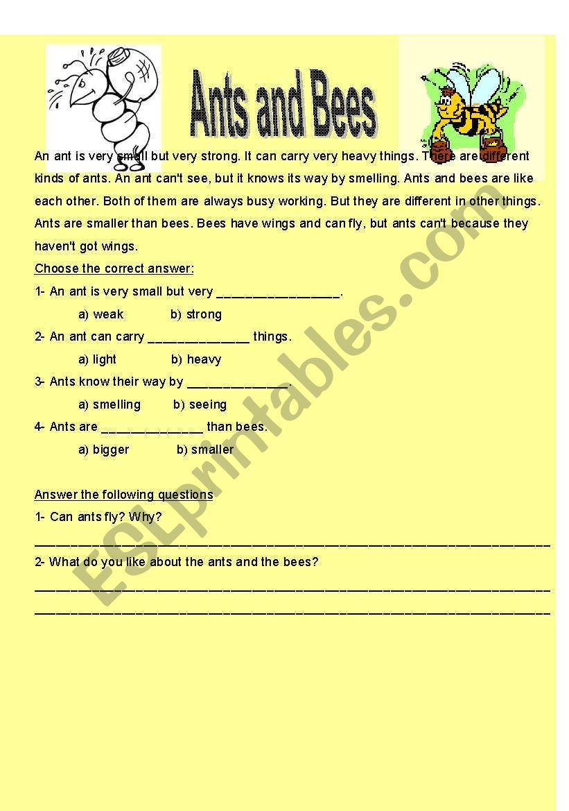 ants and bees worksheet