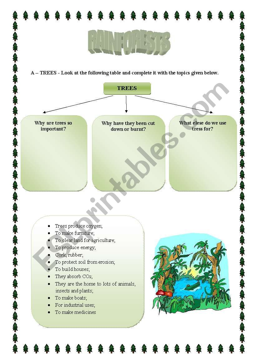 Rainforests worksheet