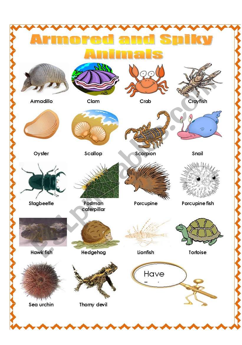 Armored and Spiky Animals - ESL worksheet by missola