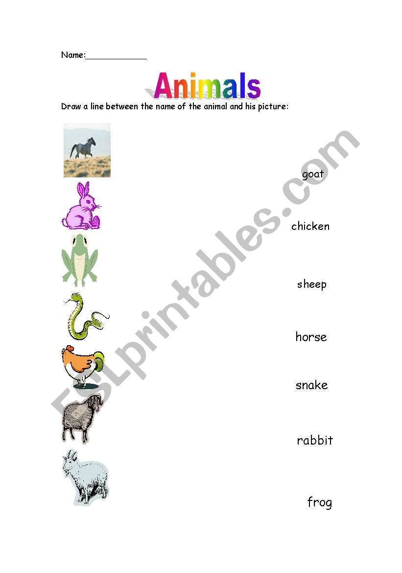 animals match worksheet