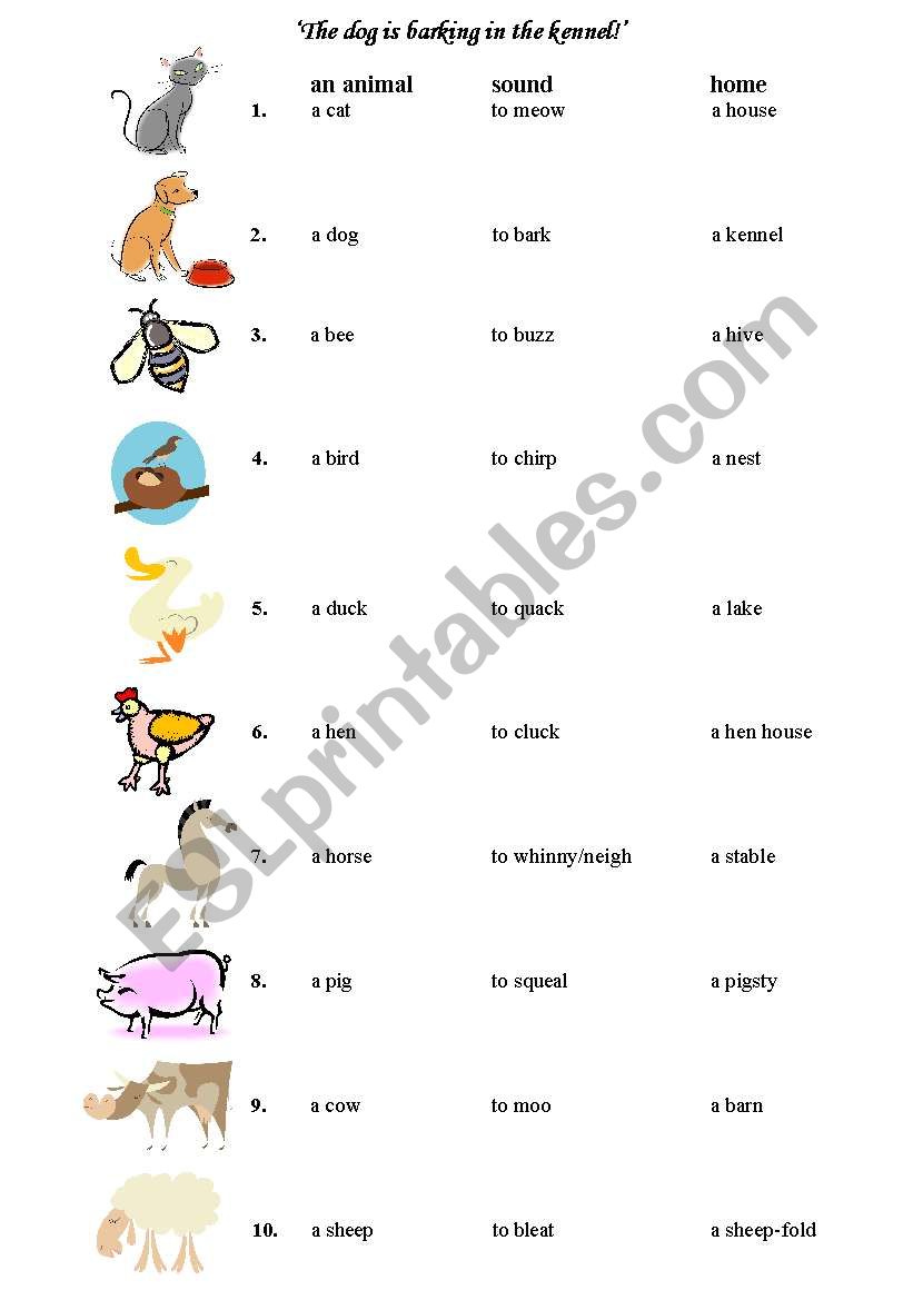 animals´ sounds and homes + activities(very useful) - ESL worksheet by  Isialuna