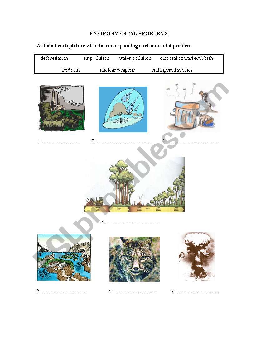 Environmental Problems worksheet