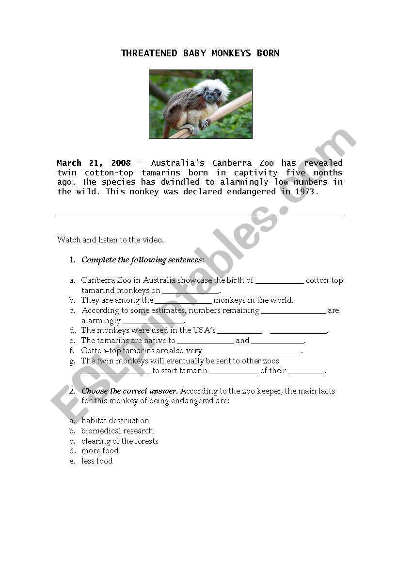 Listening: Animals worksheet