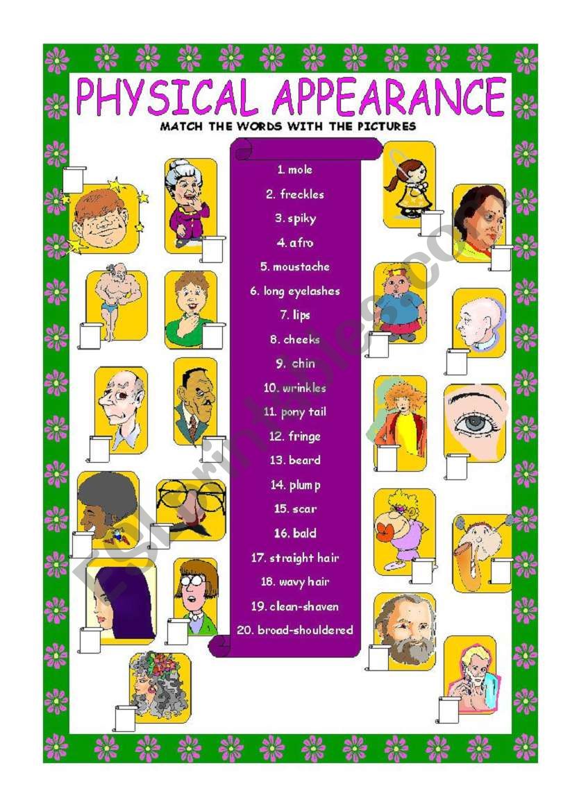 Physical Appearance Vocabulary Synthesis Esl Worksheet By July Hot