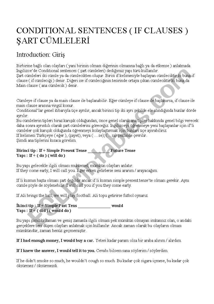 grammer worksheet