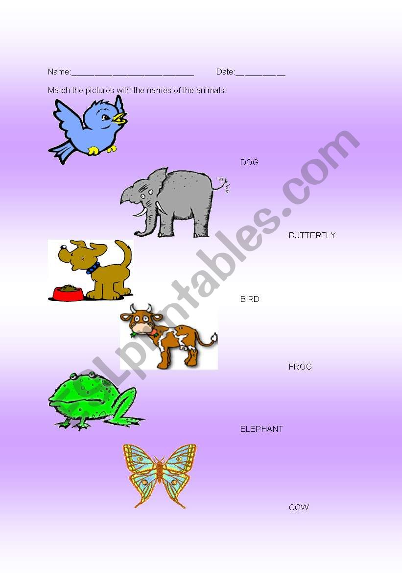 Animals worksheet