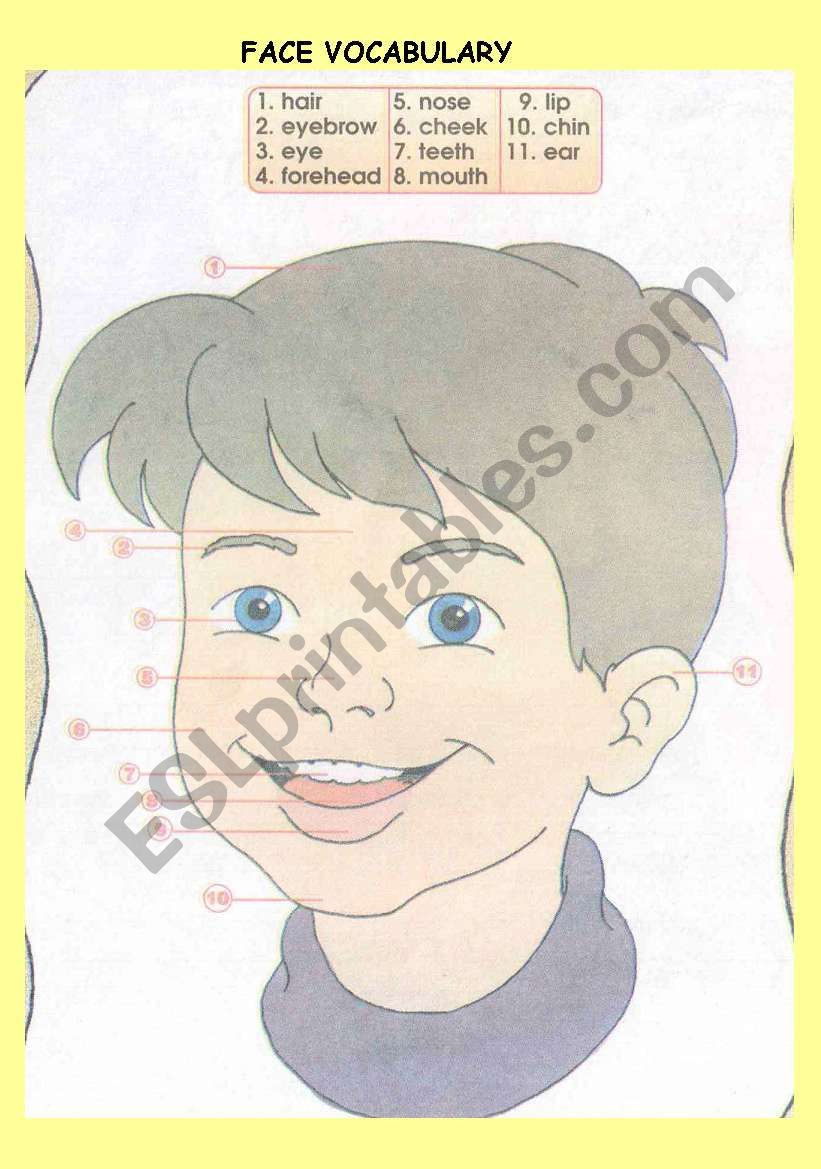 FACE worksheet