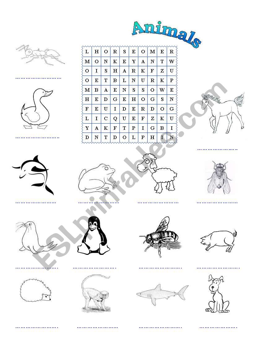 Animals - the wordsearch worksheet