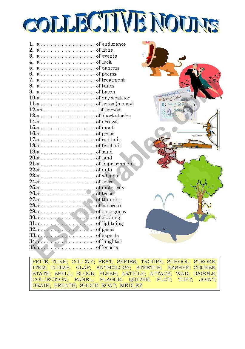 collective nouns worksheet