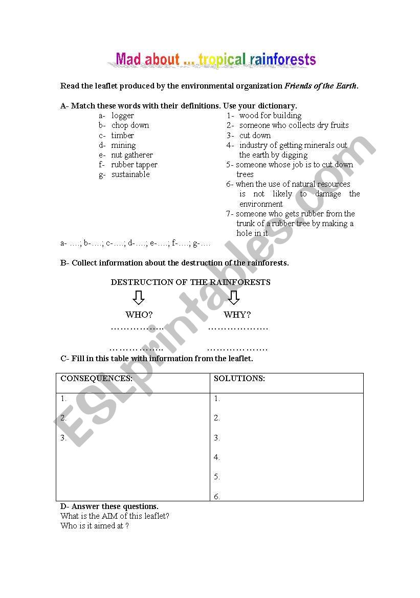 Rainforests worksheet