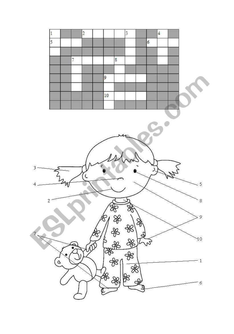 BODY CROSSWORD worksheet