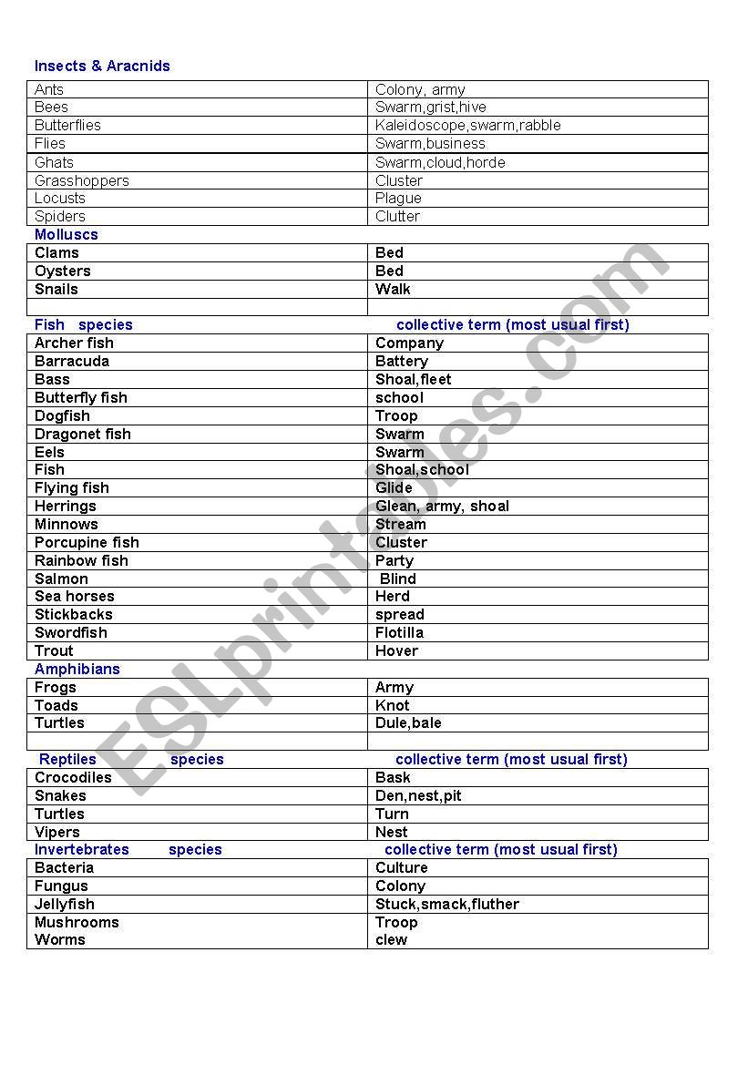 COLLECTIVE TERMS worksheet