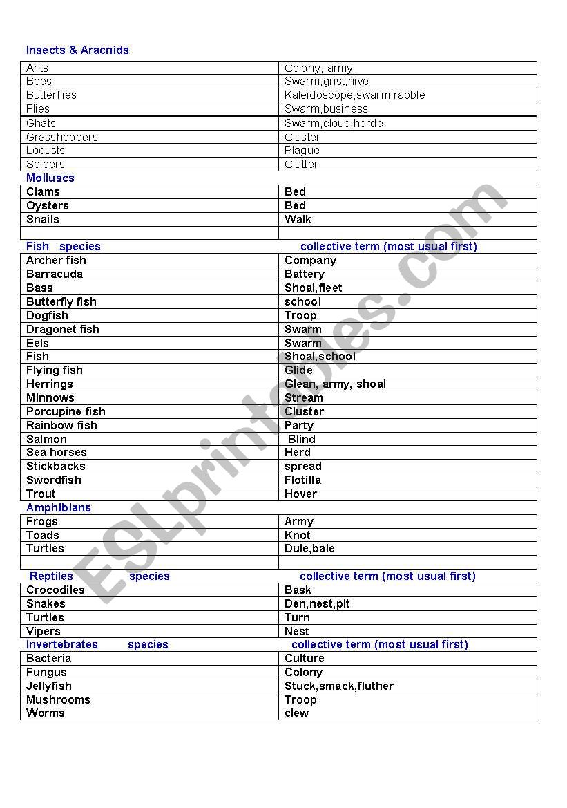 ¨COLLECTIVE TERMS¨ ESL worksheet by Im Lety