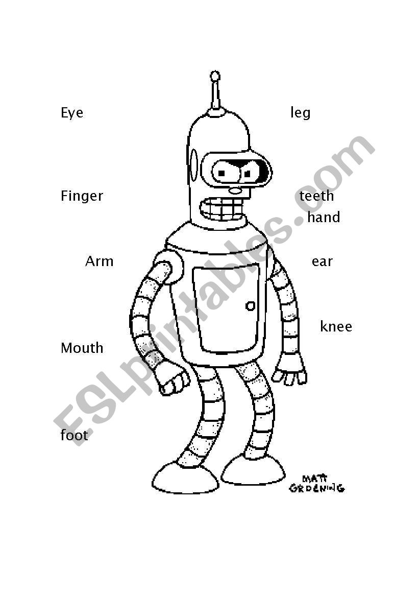 parts of the body worksheet