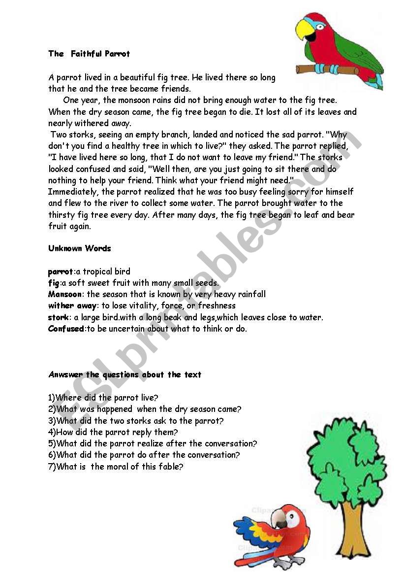 faithful parrot worksheet