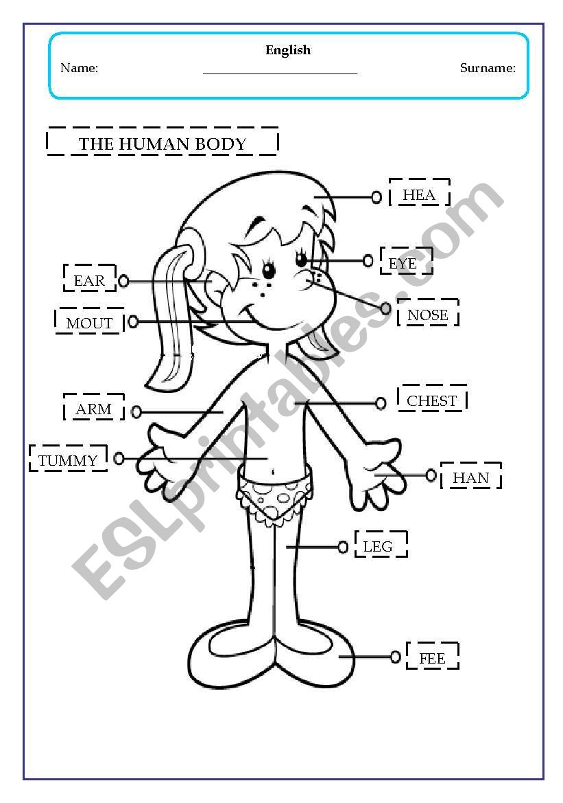 the human body - girl worksheet