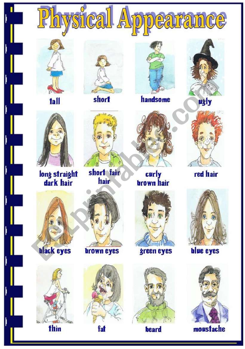 Physical Appearance worksheet