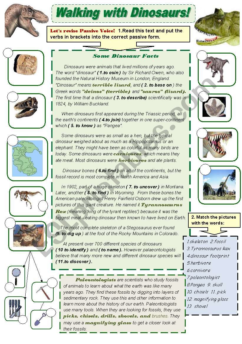 Walking with Dinosaurs! - grammar and vocabulary actiivity set Part1