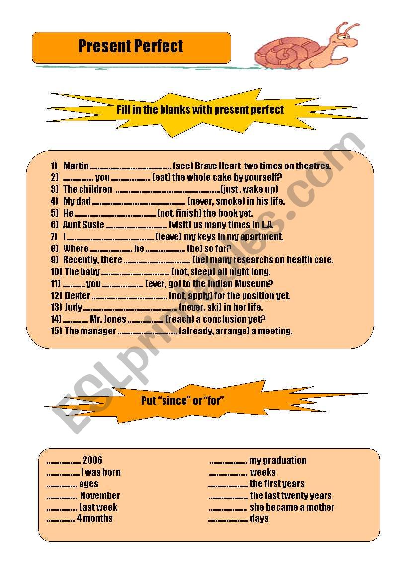 present perfect  worksheet