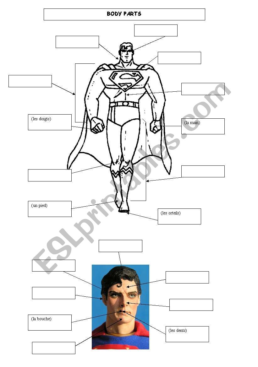 body parts of a superhero worksheet