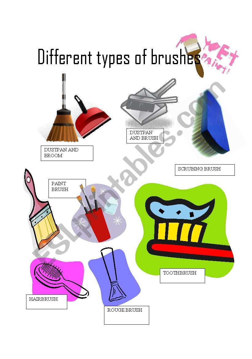 PICTIONARY: DIFFERENT TYPES OF BRUSHES