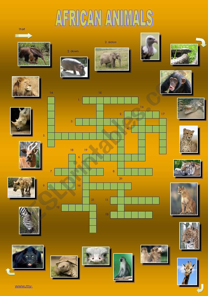 African animals - a crossword worksheet