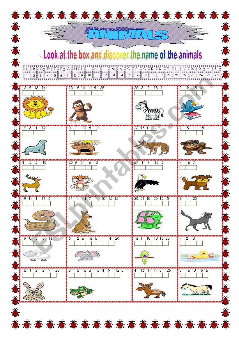 Animals worksheet