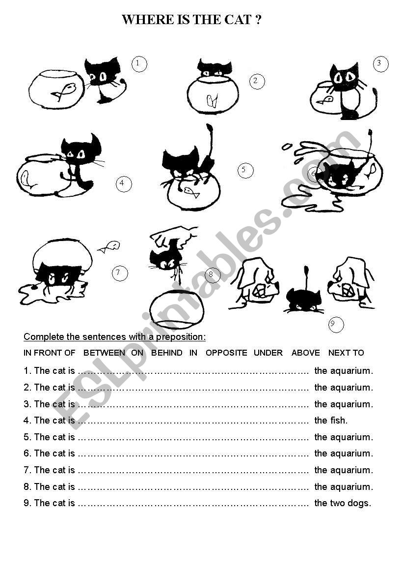 Where is the cat? worksheet