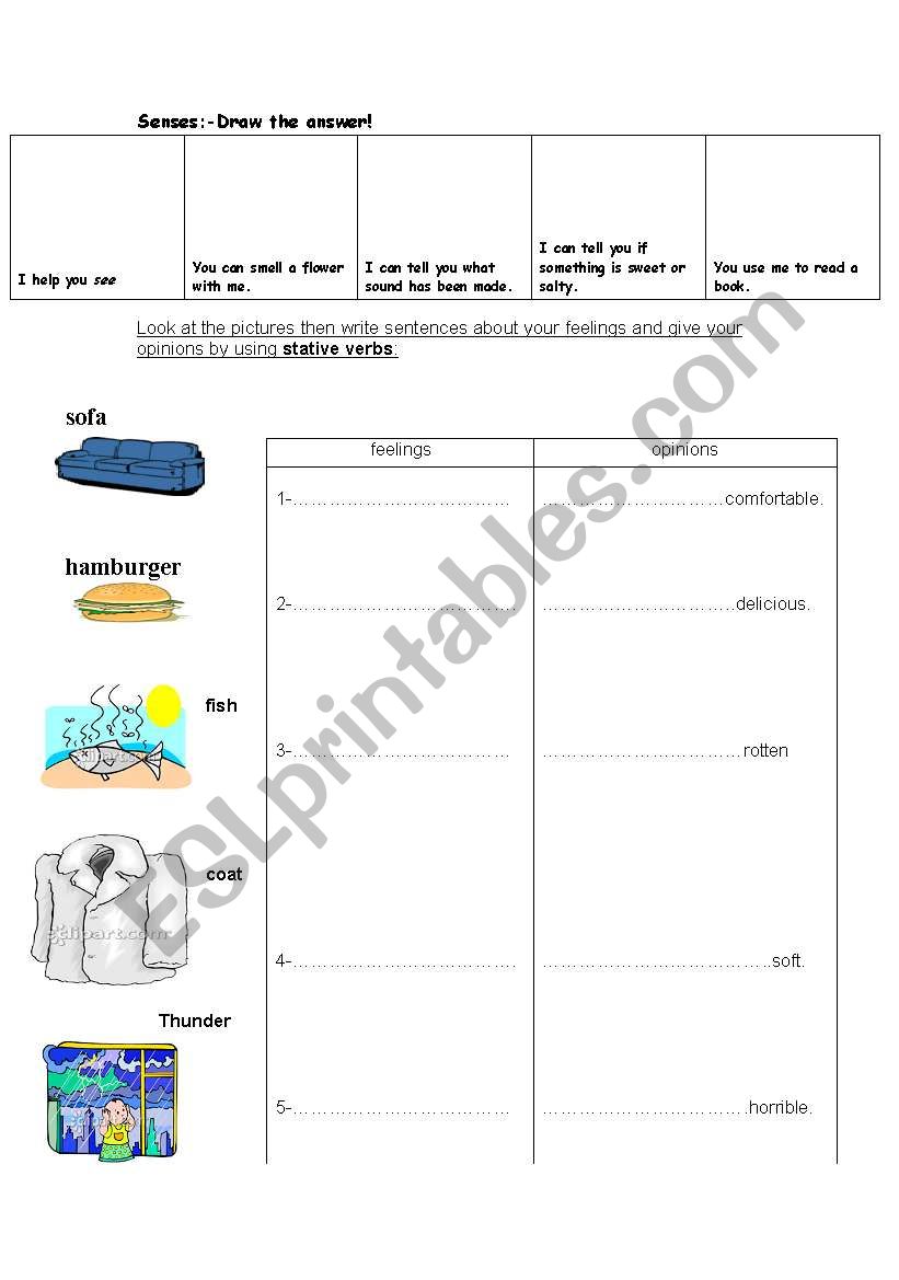 senses-stative verbs worksheet