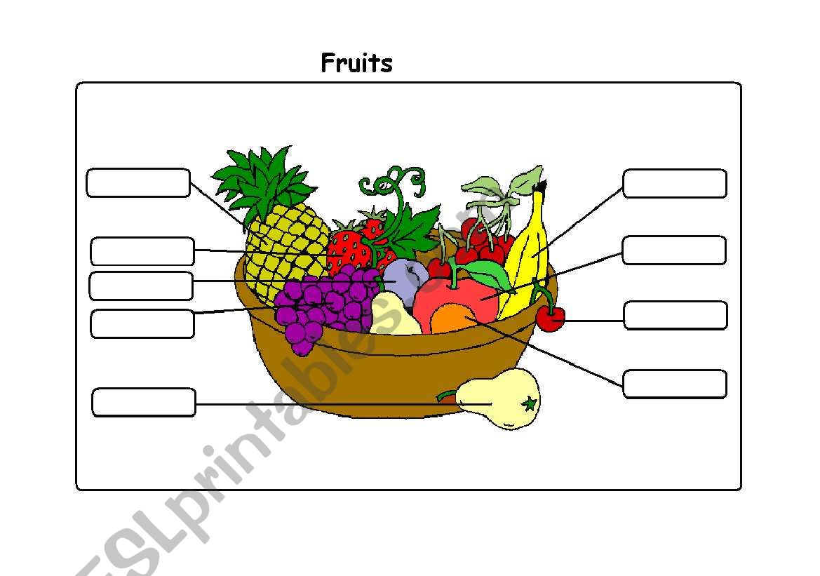 Fruits worksheet