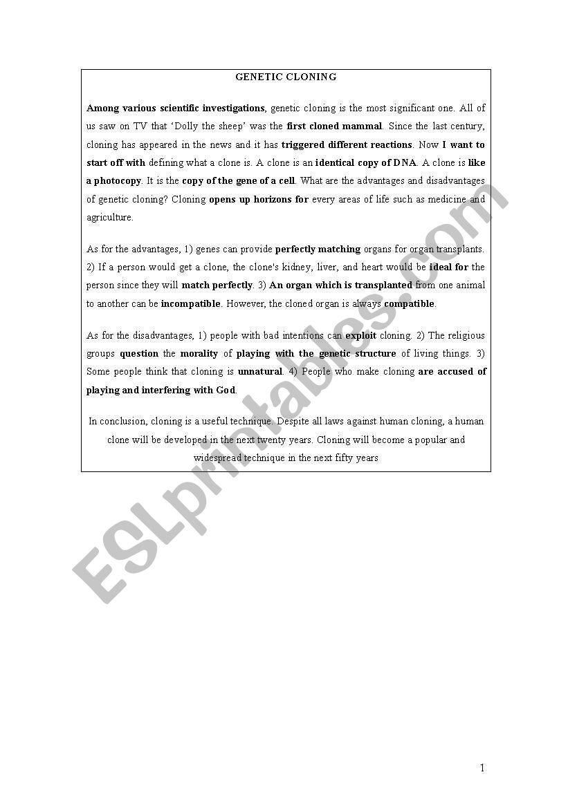 essay worksheet