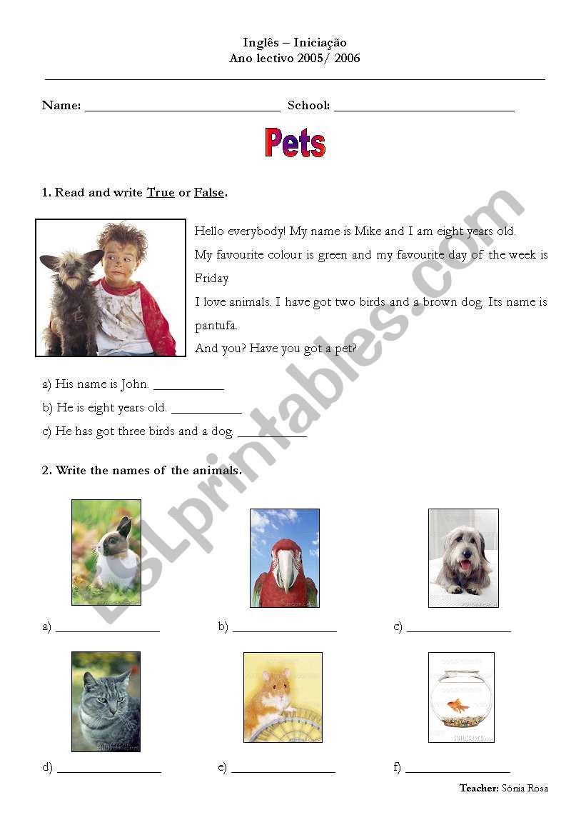 Pets worksheet