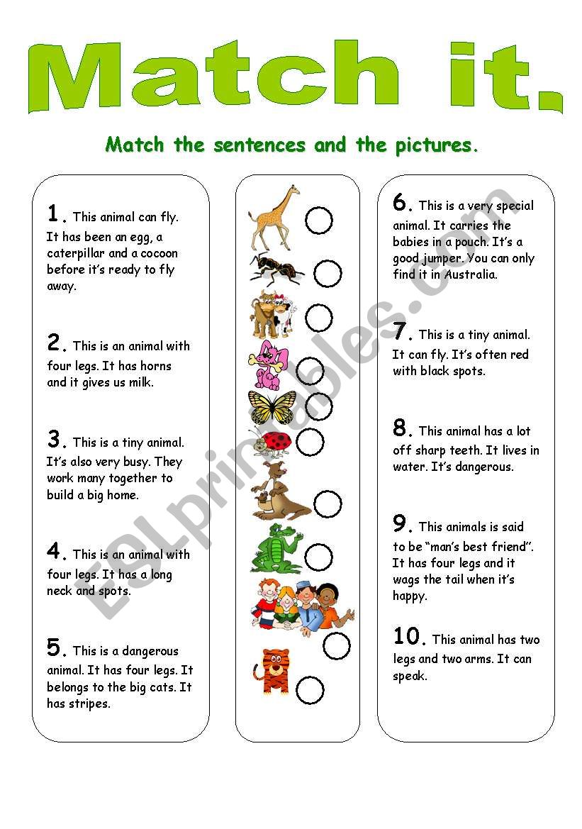 Match it. worksheet