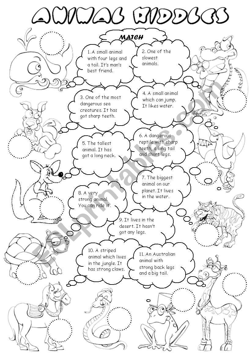 Animal riddles worksheet