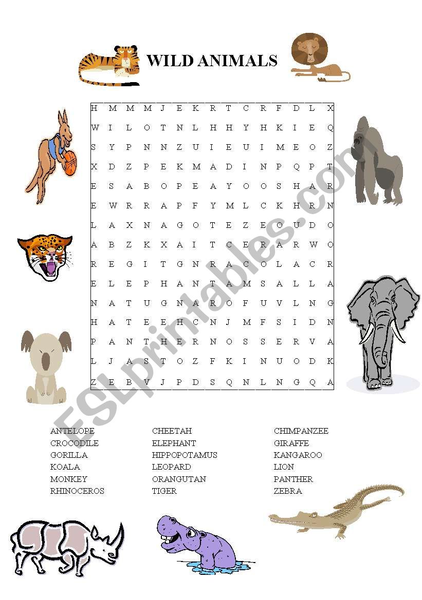 WILD ANIMALS worksheet