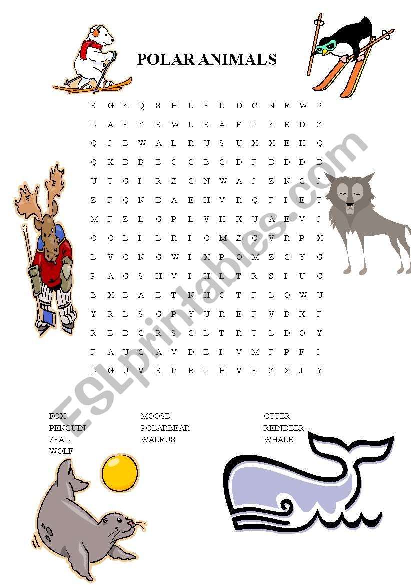 POLAR ANIMALS worksheet