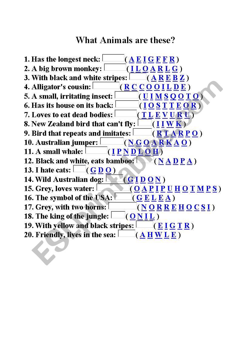 what animals are these worksheet
