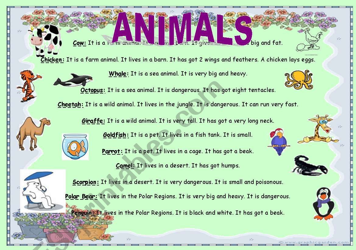 animals reading - ESL worksheet by arteacher
