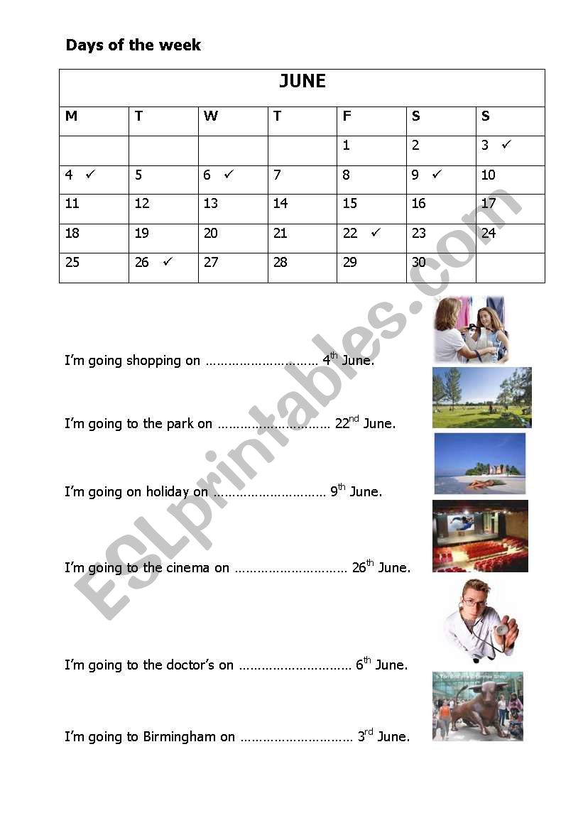 Months and days worksheet