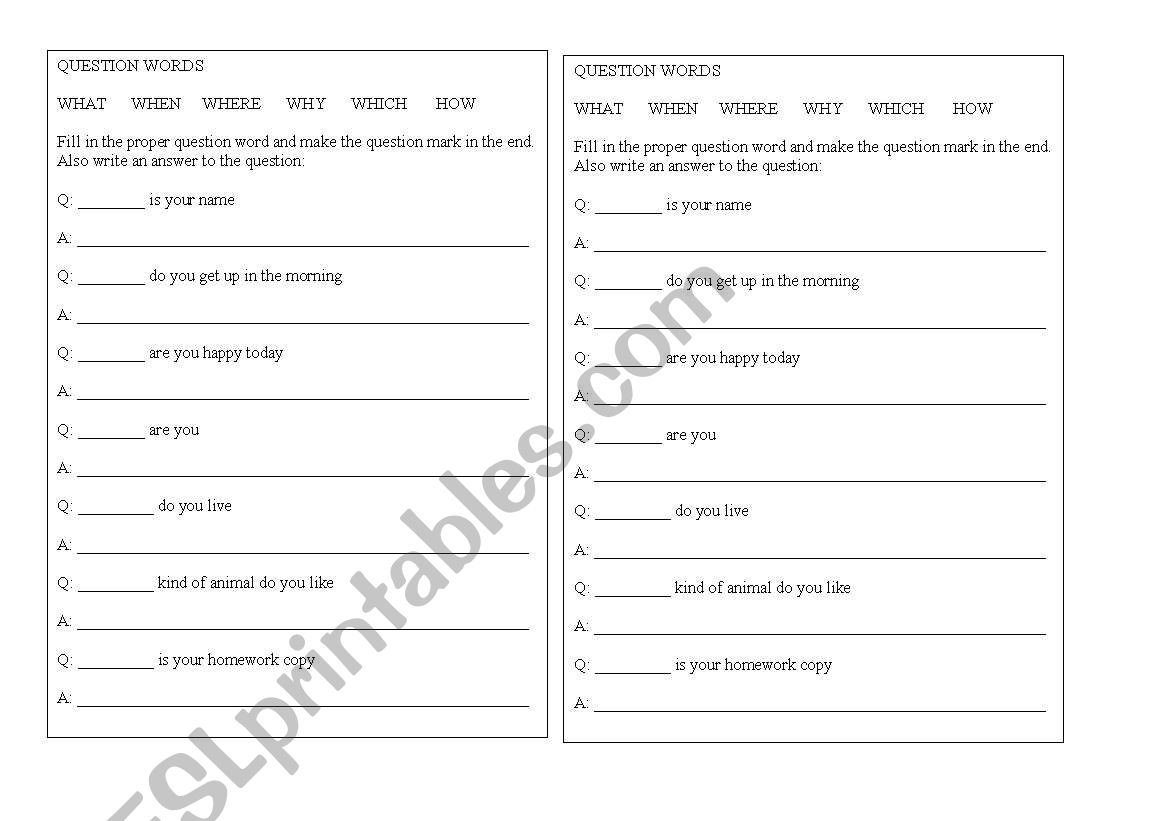 Question words worksheet