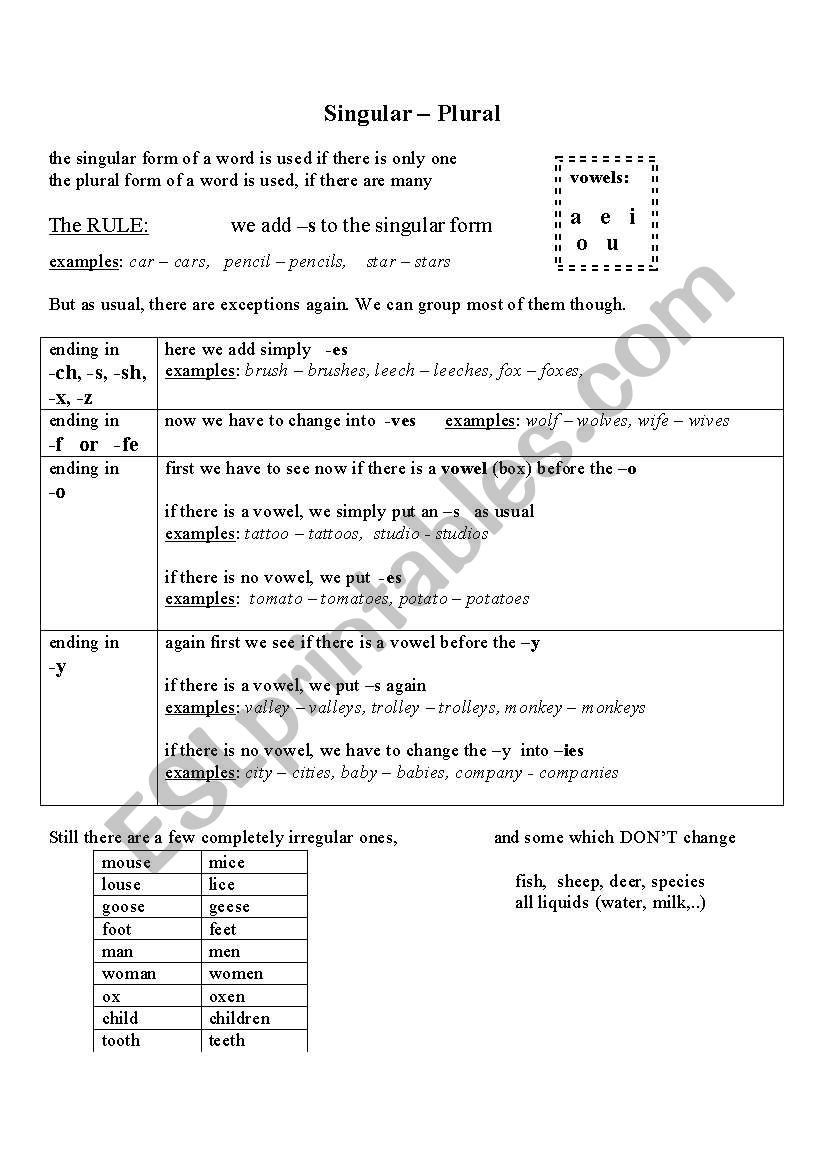 Plurals worksheet