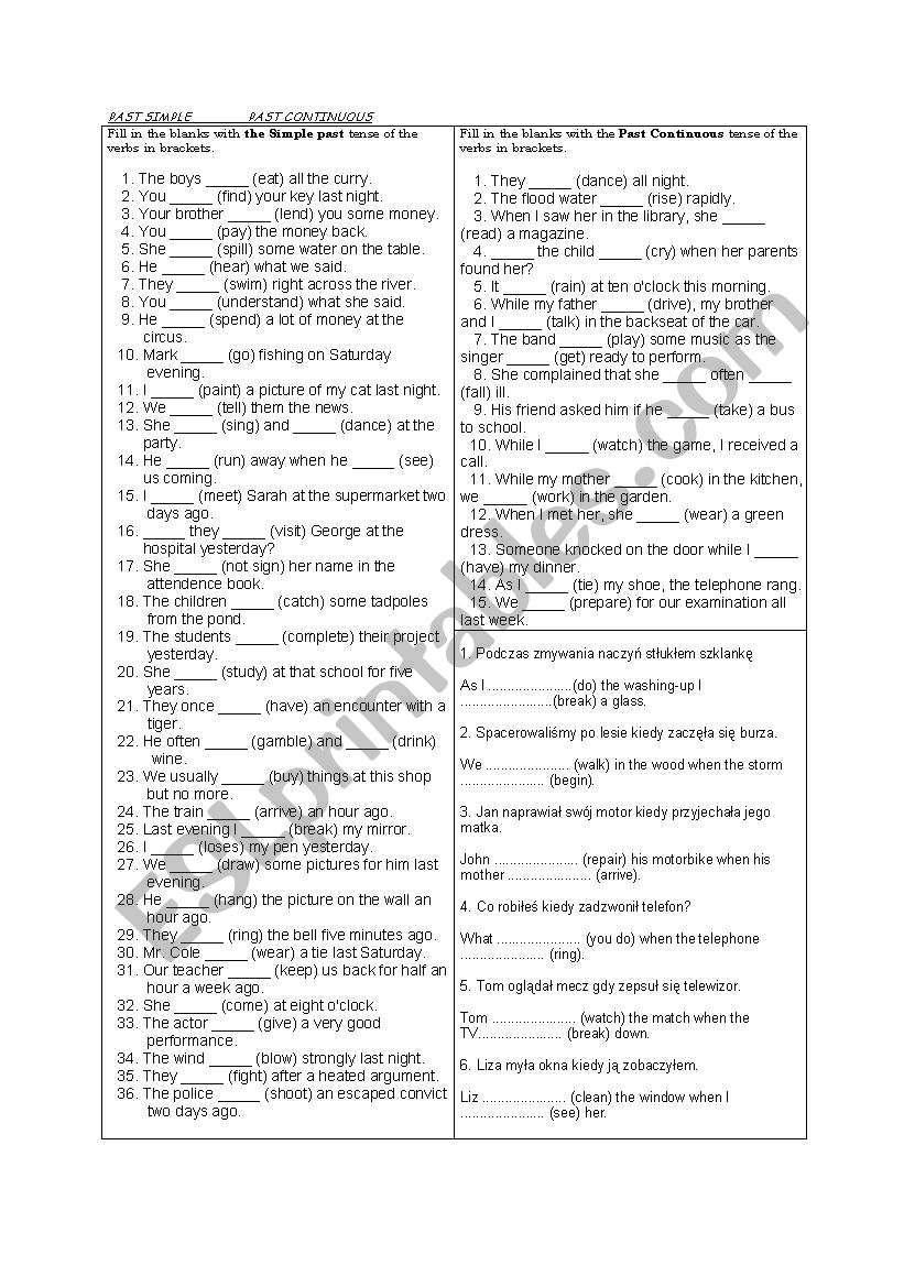 Past simple & past continuous worksheet