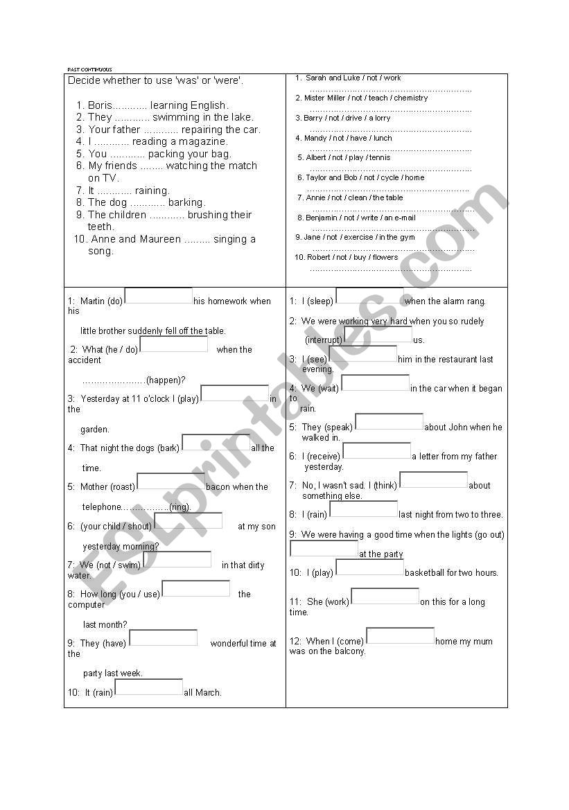 Past simple & past continuous worksheet