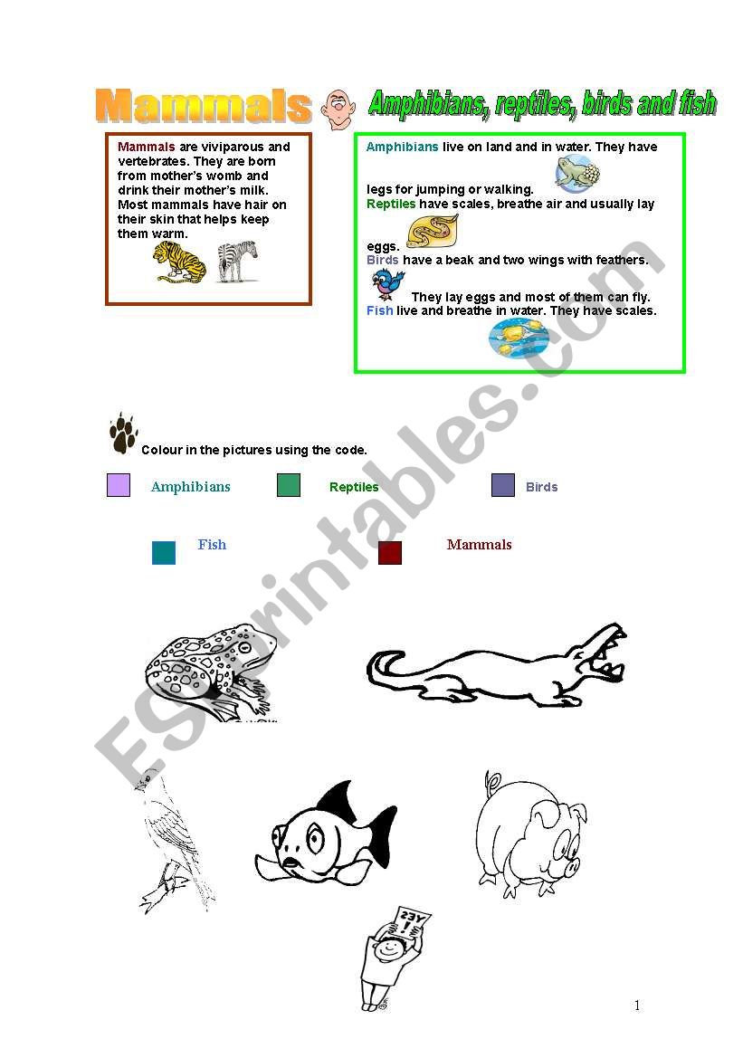 Learning about animals worksheet